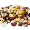 Rainbow Popcorn - Popcorn - Snacks - nutsupplyusa.com
