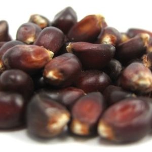 Red Popcorn Kernels - nutsupplyusa.com