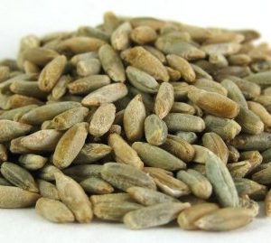 Organic Rye Berries - Grains - Cooking & Baking - nutsupplyusa.com