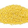 Millet - Grains - Cooking & Baking - nutsupplyusa.com