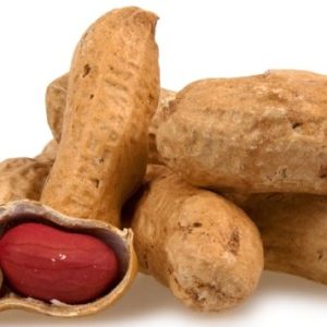 In Shell Organic Raw Peanuts - Peanuts - nutsupplyusa.com
