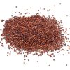 Organic Red Quinoa - Cooking & Baking - nutsupplyusa.com