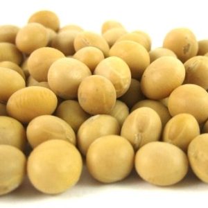 Organic Soy Beans - Cooking & Baking - nutsupplyusa.com