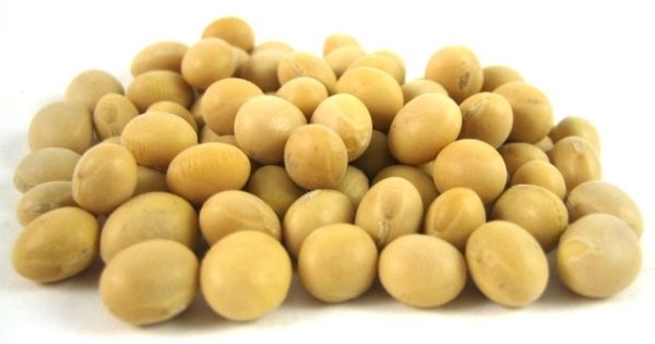 Organic Soy Beans - Cooking & Baking - nutsupplyusa.com