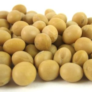 Raw Soybeans - Cooking & Baking - nutsupplyusa.com