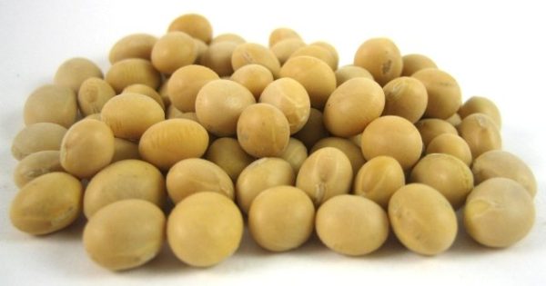 Raw Soybeans - Cooking & Baking - nutsupplyusa.com