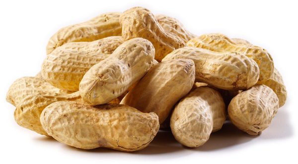Jumbo Raw Peanuts in the Shell - By the Pound - nutsupplyusa.com