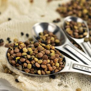 organic sprouted lentil blend