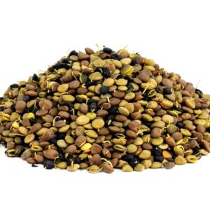 Organic Sprouted Lentil Blend (1lb bag)