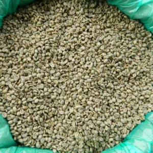 Bolivia Organic FT Yungas Bio Arabica Coop FW SHG EP Green Coffee Beans