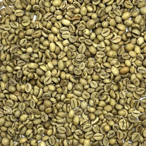 VIETNAM ROBUSTA
