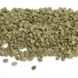 colombia el gato supremo