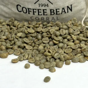 colombia el gato supremo