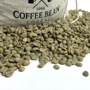 colombia el gato supremo