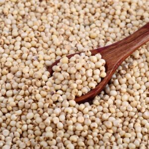 sorghum grain